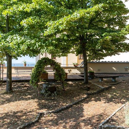Villa Santa Margherita - B&B Cortona Bagian luar foto