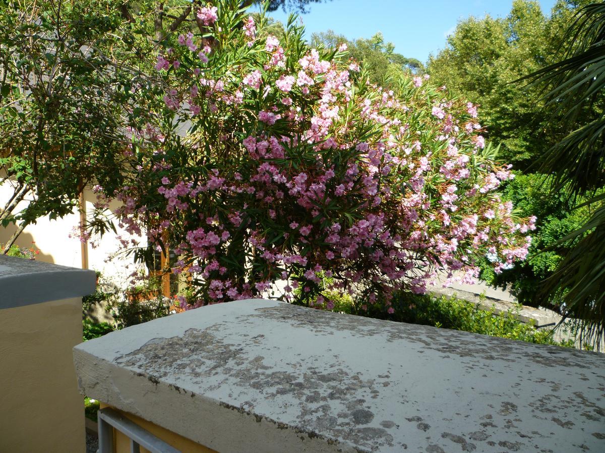 Villa Santa Margherita - B&B Cortona Bagian luar foto